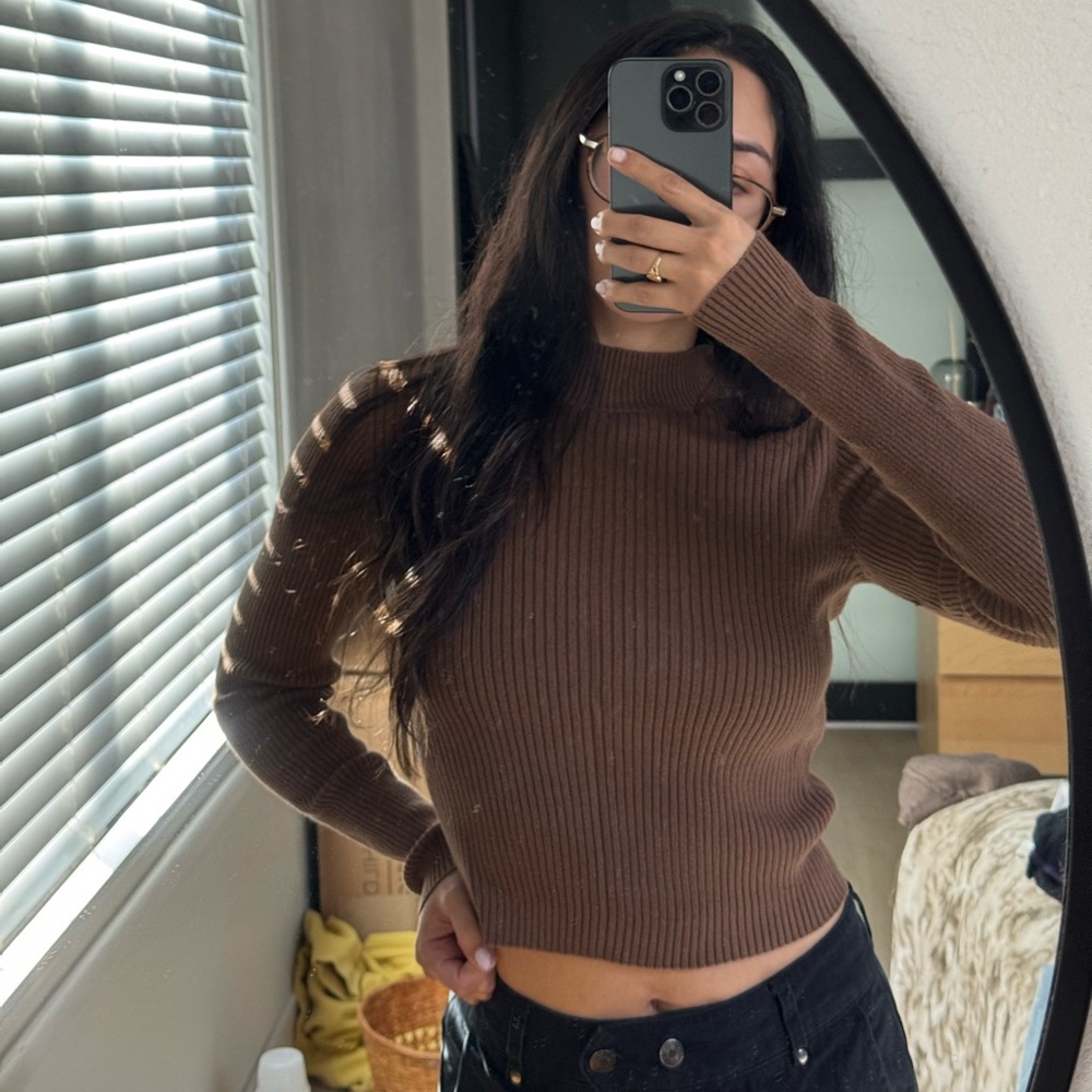 Brandy Melville Brown Ribbed Crop Top